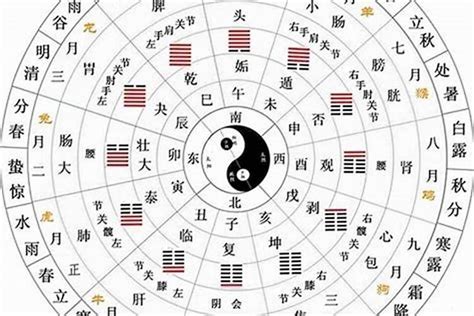 丁火是什麼|十天干與十二地支喜忌——丁火篇